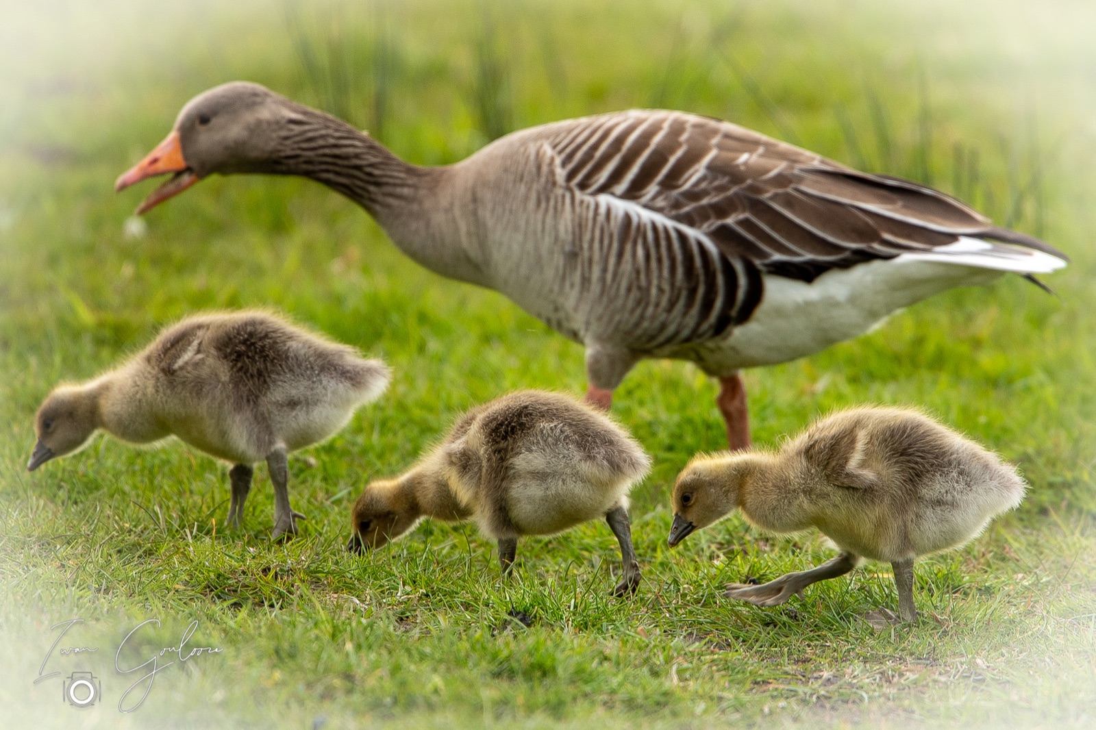 22 april 2022 183912  5D46835